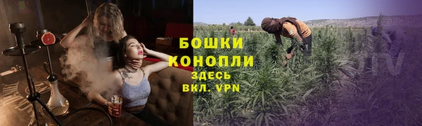 сатива Козловка