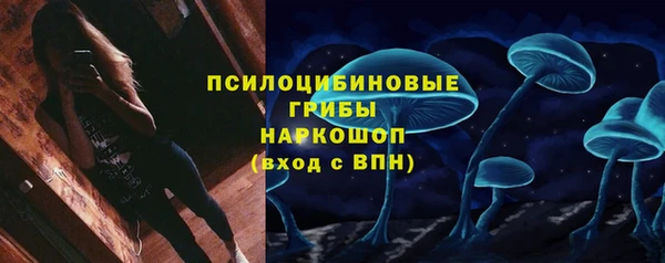 ешки Корсаков