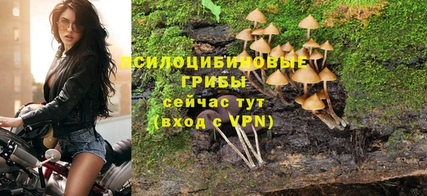 герыч Ветлуга