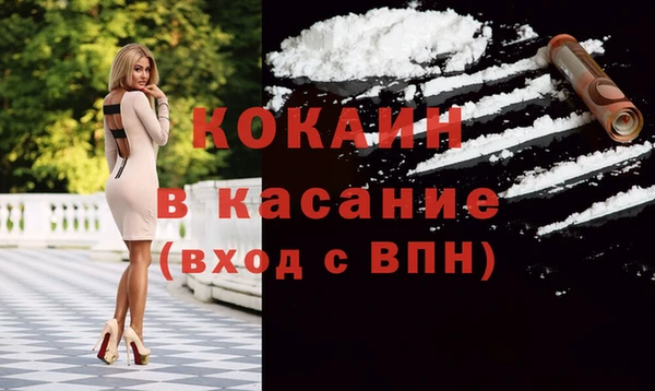 сатива Козловка