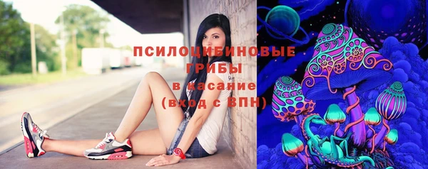 a pvp Козельск