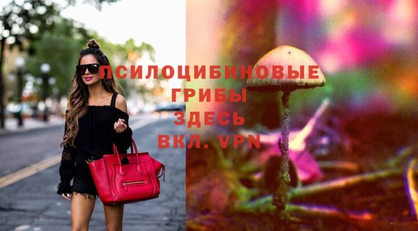 сатива Козловка