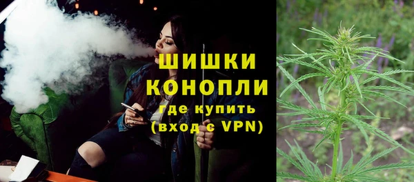 сатива Козловка